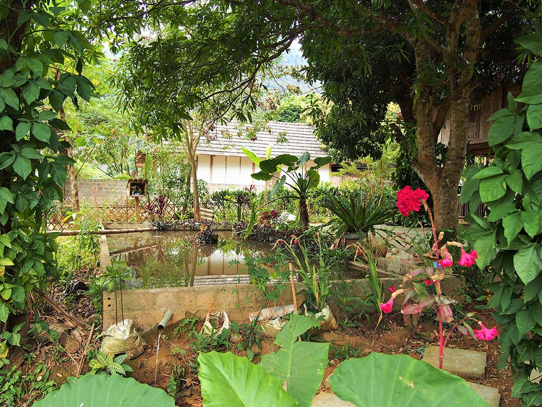 vietnam mai chau homestay jardin